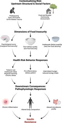 Unpacking determinants and consequences of food insecurity for insulin resistance among people living with HIV: Conceptual framework and protocol for the NOURISH-OK study